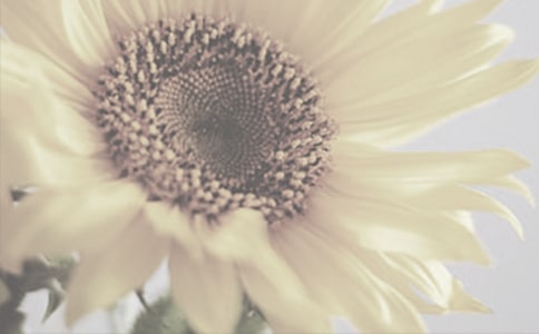 �����x��̫�(y��ng)��������ƪ