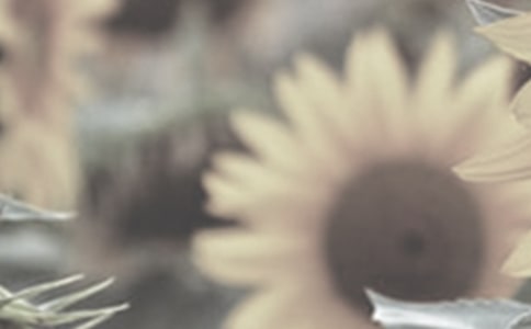 �ڴ����̫�(y��ng)���Ĺ���