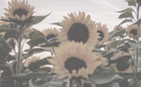 ���x̫ꖻ�������ƪ