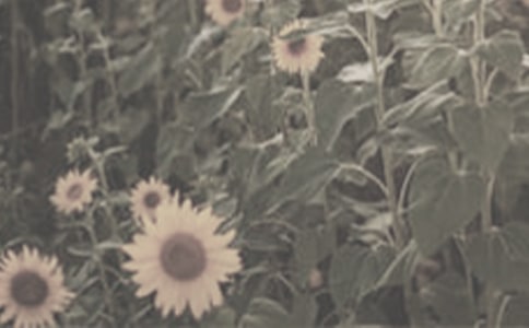 ���NһƬ̫ꖻ����̌W(xu��)��ӛ