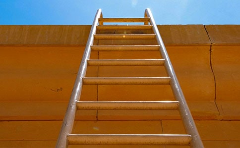 ����������x�����