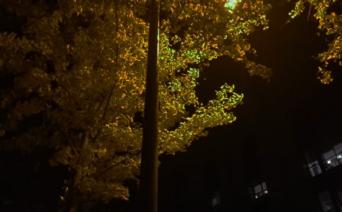 ����������������120��