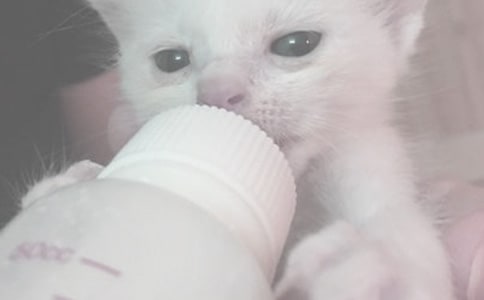 �냺ι����