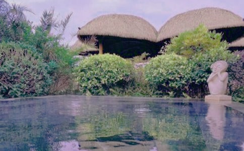 (優(yōu)秀)泡溫泉作文15篇