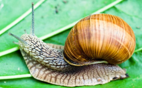 ��΁ţ�Ī�(ji��ng)�����u(p��ng)�n