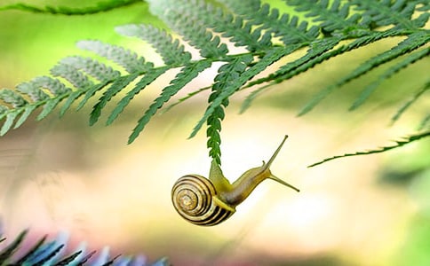 �n������΁ţ�Ī�(ji��ng)����