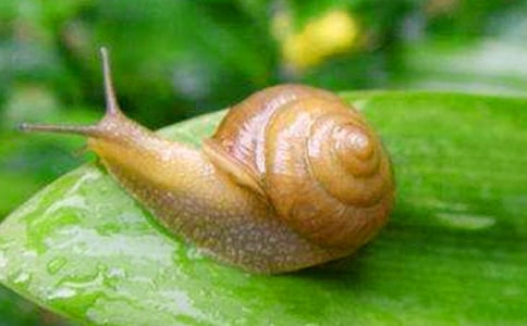 ��΁ţ�c�S�Z�B����˼