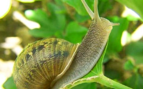 ΁ţ����������