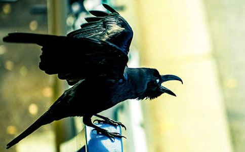 ���f��ˮ�Ĺ���14��