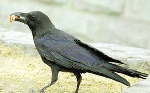 �а�ƌW(xu��)�����f��ˮ��