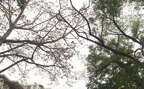 2023������ϵ�簲�����Z����83�l