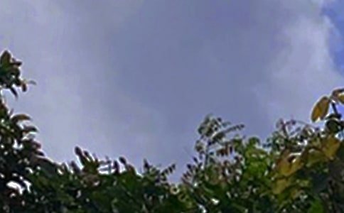 ��ů���簲�����Z����45�l