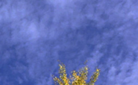 ���������簲�f�f��ȫ90��