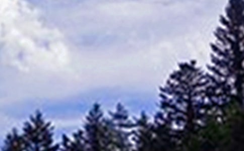 2023���簲�����Z���Ŵ�R��71�l