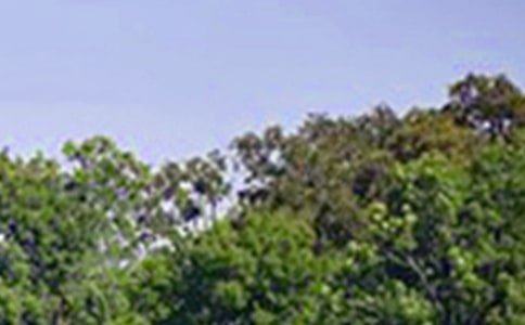 ���õ��簲���Z����72�l