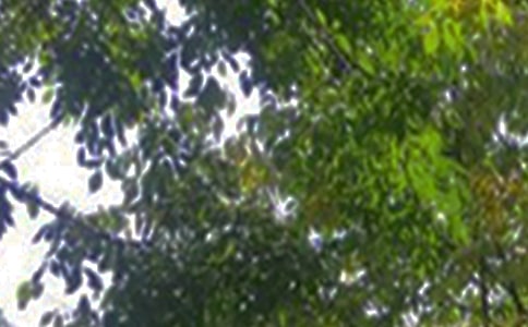 ��ů���簲�����Z����ժ�74�l