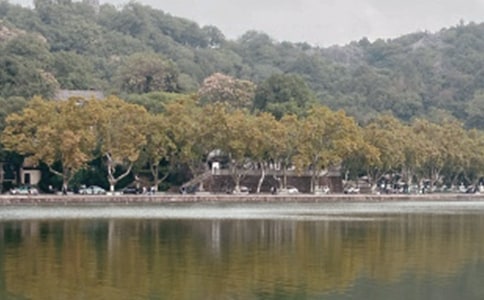 ٝ������Ԋ(sh��)��