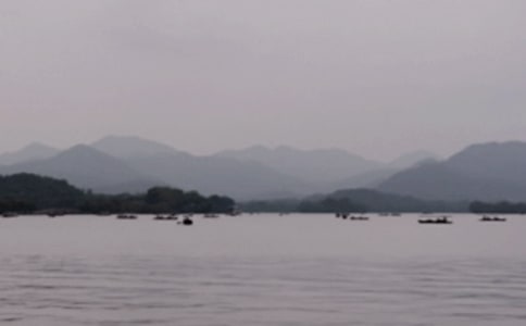 美麗的西湖小學(xué)作文