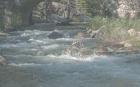 �x��СϪ���ĸ衷�иУ�ͨ��22ƪ��