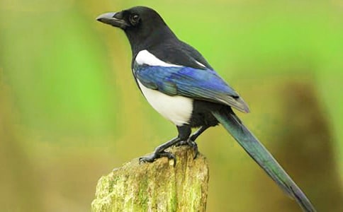 ϲ�o���߳��еĹ���