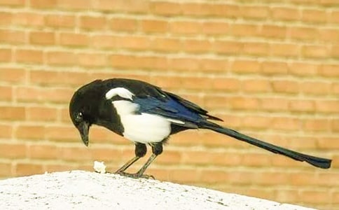 �P(gu��n)��ϲ�o������