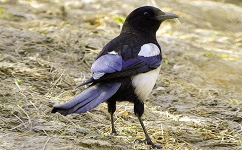 ��(sh��)��ϲ�o�n��