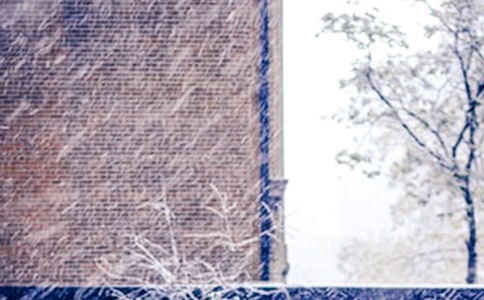 ��ѩ��Ψ���̾侫�x15ƪ