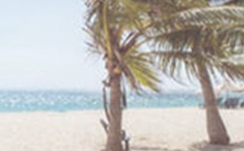 [���T]�Ґ�(��i)�ļ�����