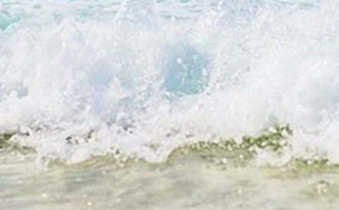 ����������ĺϼ�7ƪ