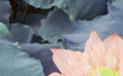 ����Ԋ�佛(j��ng)��