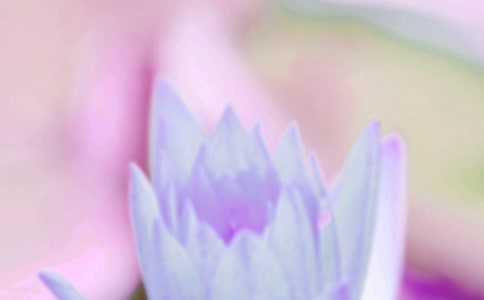 夏至經(jīng)典詩句