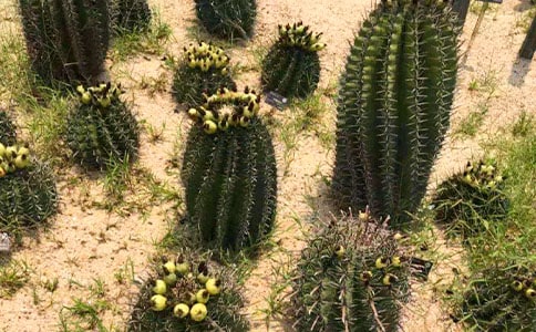 �����T����ϲ�g������������