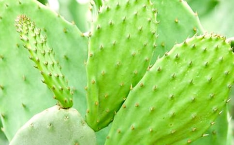 ����(y��u)�x������������15ƪ