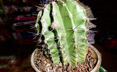 ����������15ƪ����(y��u)��