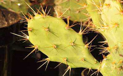 ����������ͨ��15ƪ