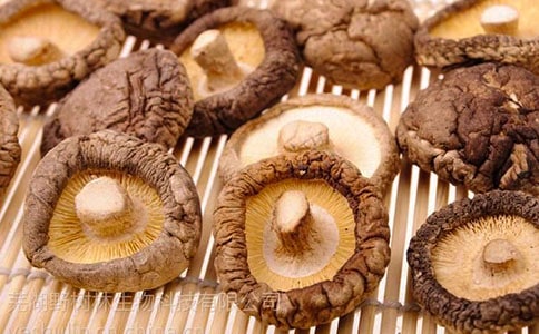 �㹽�t�}����������