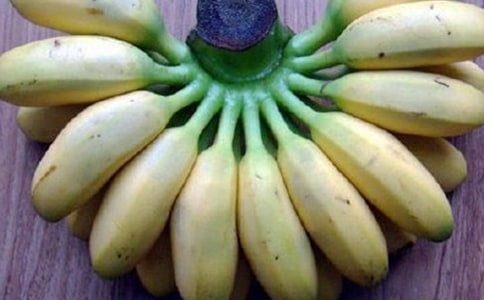 СΛρ���㽶���ģ�ͨ��21ƪ��