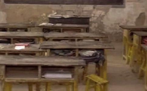 �l(xi��ng)��С�W(xu��)�p�p���Y(ji��)��ͨ��7ƪ��