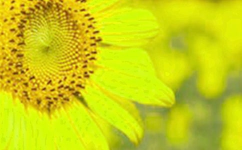 (�؂�)���տ�����������