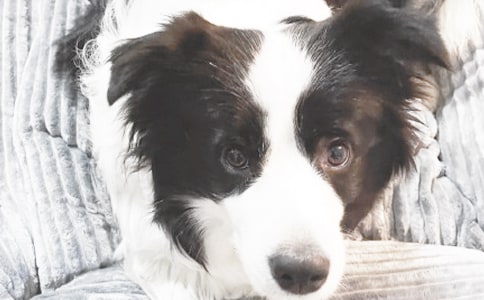 ���P(gu��n)С؈С������300�ּ���5ƪ