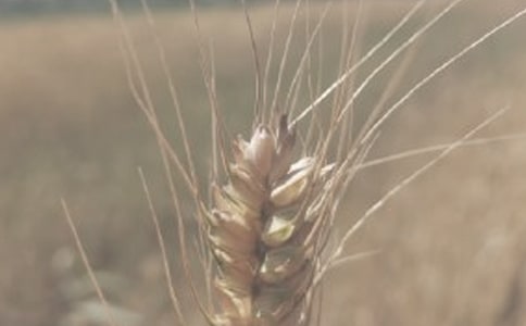 С���ĠI�B(y��ng)�rֵ��B