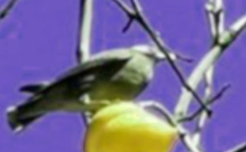 �܂���С�B���ģ�ͨ��44ƪ��