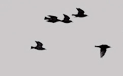 С�B�ؼҿ��D��Ԓ