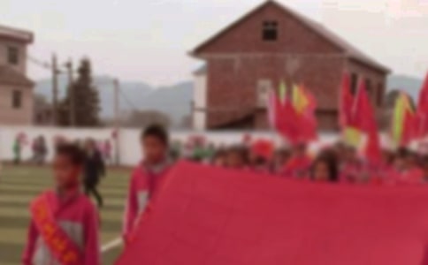 (優(yōu)選)小學運動會作文