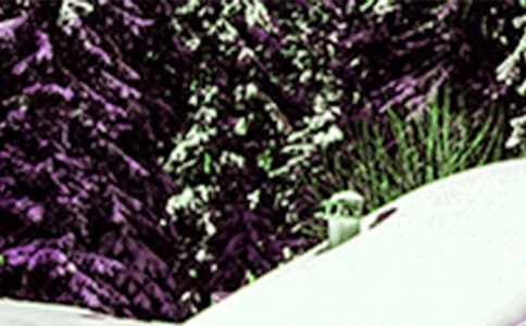 描寫(xiě)小雪詩(shī)句精彩