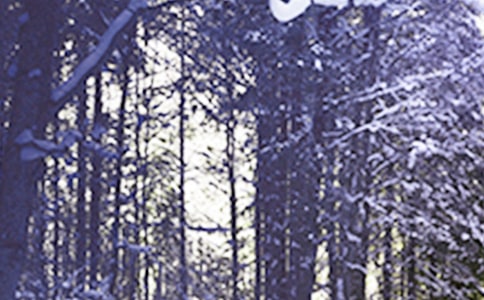 Сѩ��ʲô��