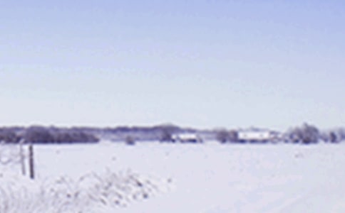 描寫下小雪的詩(shī)句