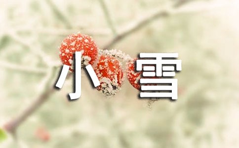 描寫小雪節(jié)氣的詩句300句