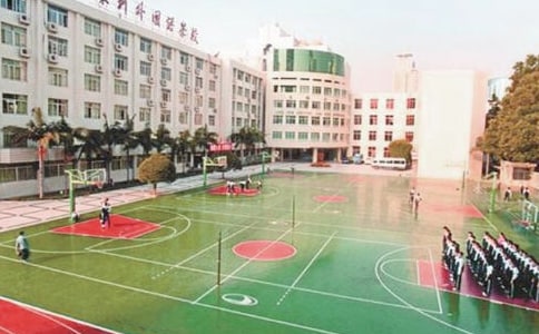 我校園里的新鮮事作文450字