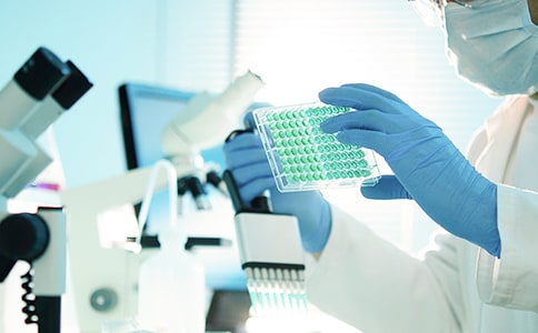 課題開題報(bào)告范文與研究